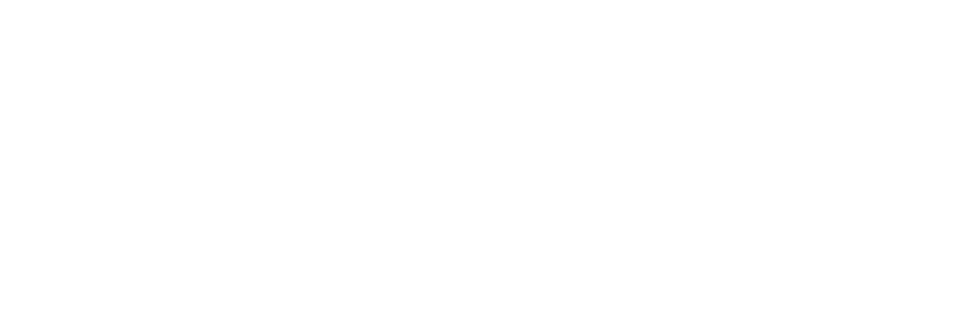 Grupo Swan