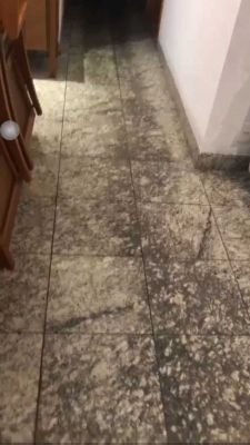 Serviço realizado em uma Limpeza Residencial - Foco nos Pisos(Porcelanato)